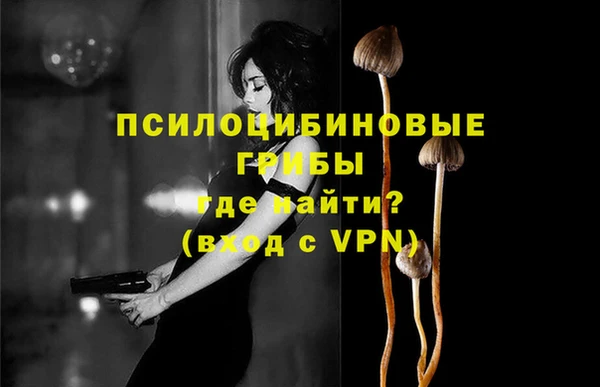 СК Володарск