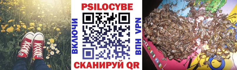 Галлюциногенные грибы MAGIC MUSHROOMS  где купить наркоту  Карабулак 